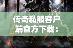哪些高炮口子不用机审，五大2025最新网贷平台举报