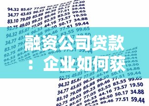 融资公司贷款：企业如何获得可靠的资金借贷支持