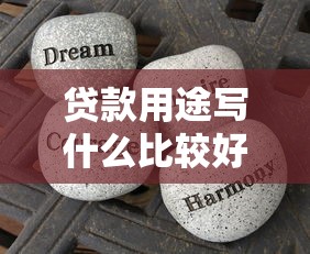 贷款用途写什么比较好：贷款申请用途如何填写更合适