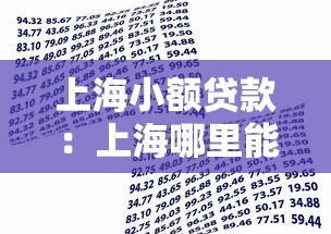 上海小额贷款：上海哪里能快速借到小额资金