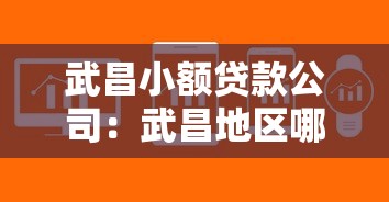 武昌小额贷款公司：武昌地区哪里可以快速申请小额贷款