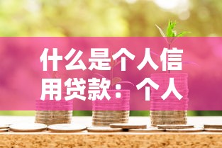 什么是个人信用贷款：个人信用贷款如何申请