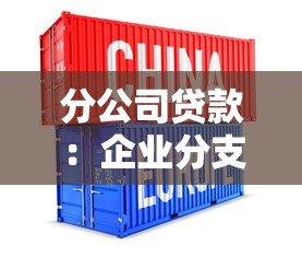 分公司贷款：企业分支机构如何申请融资支持