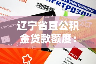 辽宁省直公积金贷款额度：辽宁省直公积金最高可贷多少金额
