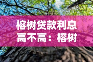 榕树贷款利息高不高：榕树贷款的利率水平如何