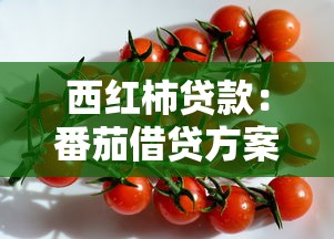 西红柿贷款：番茄借贷方案是否值得尝试