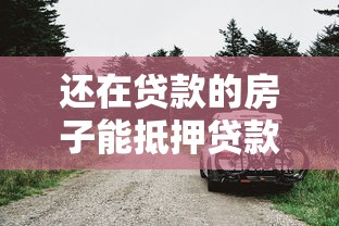 还在贷款的房子能抵押贷款吗：房贷未清的房子能否抵押贷款