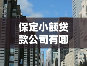保定小额贷款公司有哪些：保定现存哪些小额贷款机构