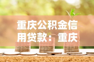 重庆公积金信用贷款：重庆公积金信用贷如何申请？
