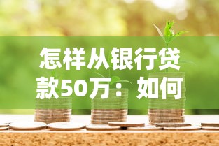 怎样从银行贷款50万：如何申请50万元银行贷款