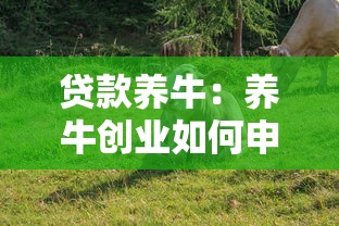 贷款养牛：养牛创业如何申请资金支持