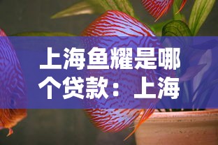 上海鱼耀是哪个贷款：上海鱼耀属于哪家贷款机构