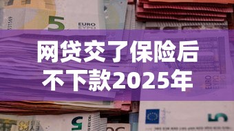 网贷交了保险后不下款2025年推荐：试试这5个19岁能申请的借钱平台