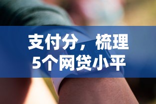 支付分，梳理5个网贷小平台