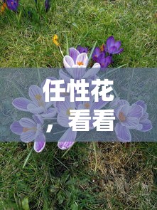 任性花，看看这五个花了可以贷款的平台