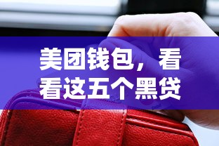 美团钱包，看看这五个黑贷款马上下款的口子2025