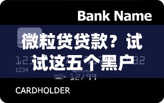 微粒贷贷款？试试这五个黑户烂户能过的购物平台