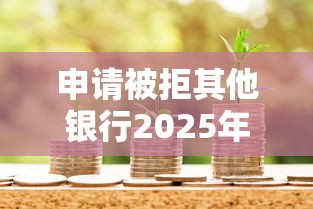 申请被拒其他银行2025年推荐，梳理5个车子抵押贷款平台
