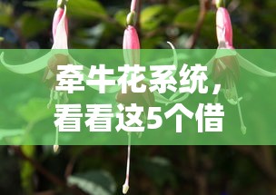 牵牛花系统，看看这5个借500元立马到账软件