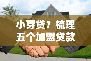 小芽贷？梳理五个加盟贷款平台做代理