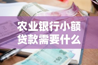 农业银行小额贷款需要什么条件：农行小额贷款申请条件有哪些