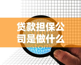 贷款担保公司是做什么的：担保机构如何助力企业融资