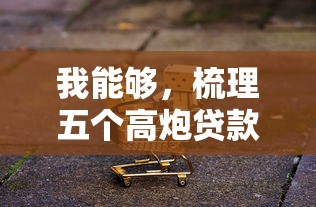 我能够，梳理五个高炮贷款平台
