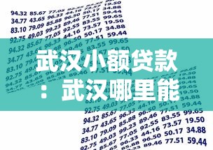 武汉小额贷款：武汉哪里能快速申请小额借款
