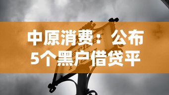 中原消费：公布5个黑户借贷平台