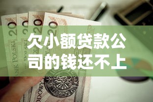 欠小额贷款公司的钱还不上怎么办：小额贷款逾期无力偿还如何解决