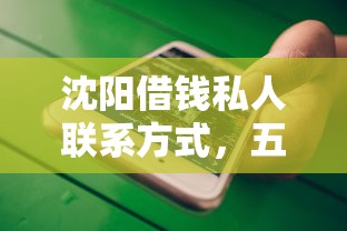 沈阳借钱私人联系方式，五大2025最新网贷小平台