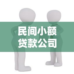民间小额贷款公司：民间借贷机构如何保障资金安全
