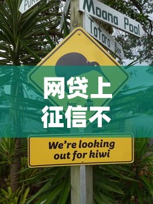 网贷上征信不上征信的，五大2025最新贷款平台好