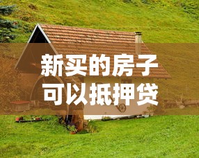 新买的房子可以抵押贷款吗：新房办理抵押贷款的条件是什么