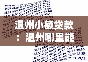 温州小额贷款：温州哪里能快速申请小额资金