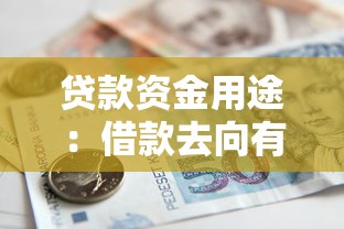 贷款资金用途：借款去向有哪些限制