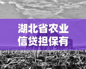 湖北省农业信贷担保有限公司：湖北农担如何助力乡村融资