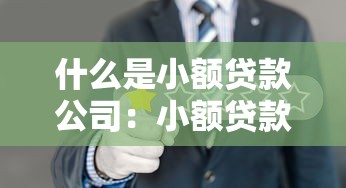 什么是小额贷款公司：小额贷款公司如何运作