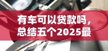 有车可以贷款吗，总结五个2025最新2025被风控了还能下款的平台