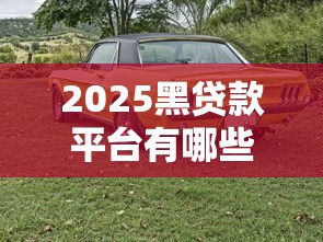 2025黑贷款平台有哪些，分析五个2025最新正规汽车抵押贷款平台