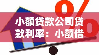 小额贷款公司贷款利率：小额借贷利率一般是多少
