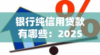 银行纯信用贷款有哪些：2025年哪些银行提供优质纯信用贷款