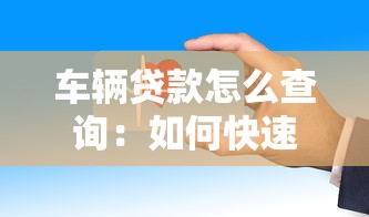 车辆贷款怎么查询：如何快速查询车辆贷款状态
