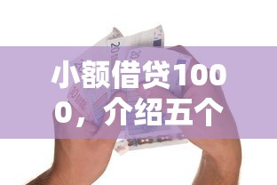 小额借贷1000，介绍五个2025最新贷款平台好利息低