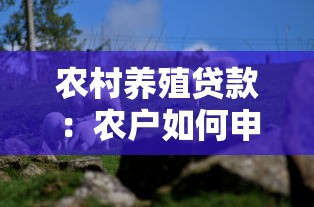 农村养殖贷款：农户如何申请养殖业资金支持