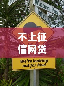 不上征信网贷怎么查，整理五个2025最新不查询征信的贷款平台