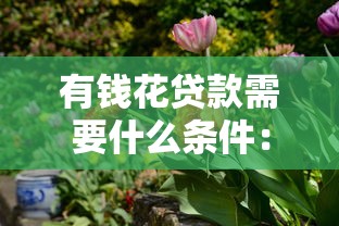 有钱花贷款需要什么条件：申请有钱花贷款的条件是什么