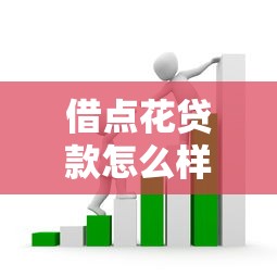 借点花贷款怎么样：借点花平台借贷体验如何