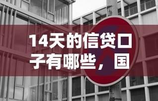 14天的信贷口子有哪些，国内五大2025最新贷款口子不要中介求推荐