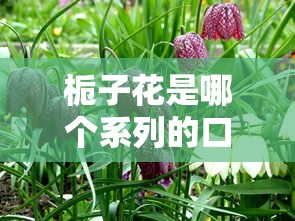 栀子花是哪个系列的口子，国内五大2025最新最安全的贷款平台